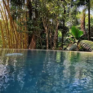 A Peace In Paradise , Anse Royale Seychelles